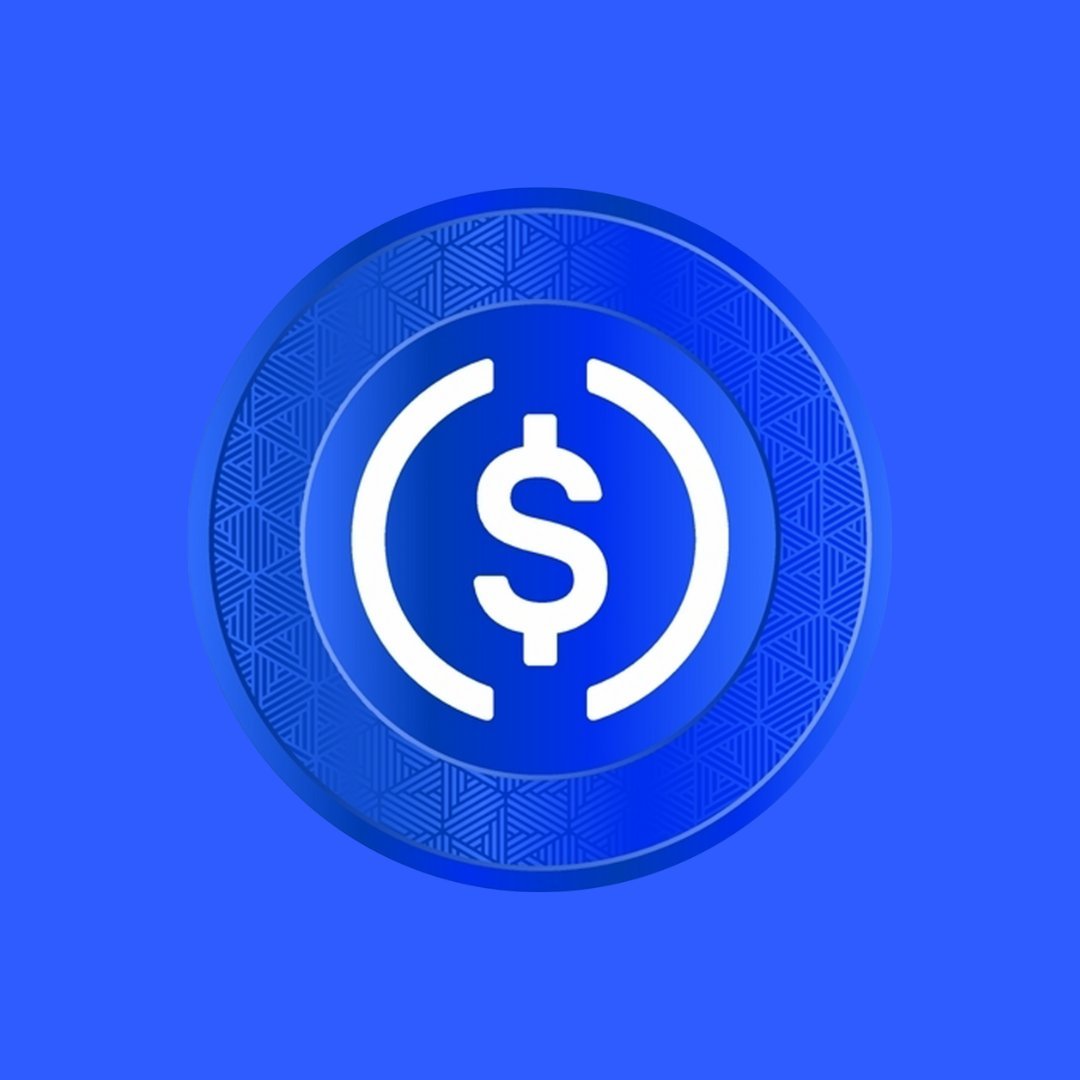 A blue coin medallion featuring the white USD Coin (USDC) symbol against a solid blue background.