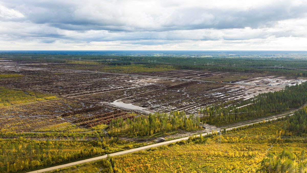 Aerial view of an extensive cleared forest and drainage site surrounded by woodland.