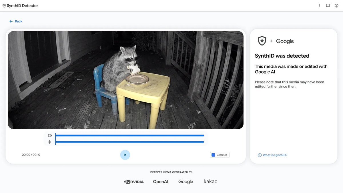 Screenshot of Google's SynthID Detector website interface showing a detected AI-generated video of a raccoon at a table.