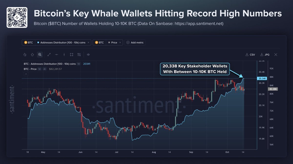 Santiment chart showing the count of Bitcoin wallets holding between 10 and 10,000 BTC reaching an all-time high of 20,338 alongside Bitcoin's price line.