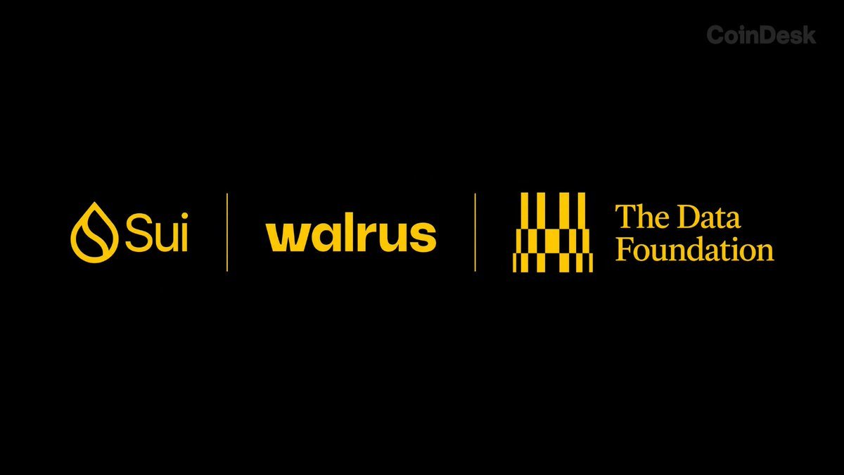 Logos and names of Sui, Walrus, and The Data Foundation displayed side by side against a black background.