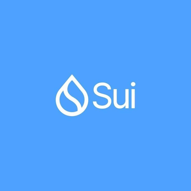Sui Network logo displayed in white against a light blue background.